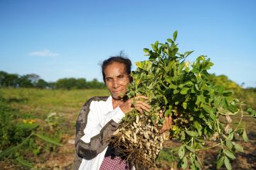Wahana Visi layani pembiayaan inklusif bagi petani di Indonesia timur