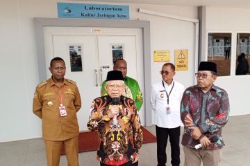 Wapres harapkan pembangunan IKN tidak ada hambatan