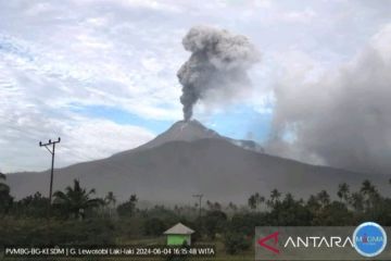 BNPB: Zona bahaya erupsi Gunung Lewotobi Laki-laki radius 2 kilometer