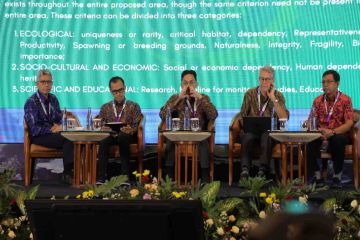 Indonesia minta dukungan negara anggota IMO jadikan Selat Lombok PSSA