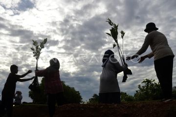Pemprov: Aceh sudah tetapkan 350 gampong iklim