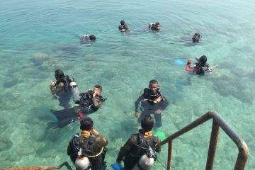 Pemkab Kepulauan Seribu ajari warga menyelam untuk tingkatkan ekonomi