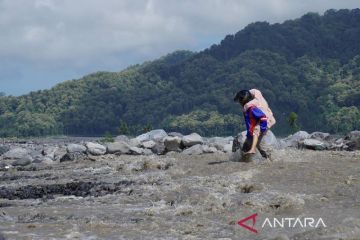 Semeru masih siaga, Badan Geologi: Ada potensi perluasan aliran lahar