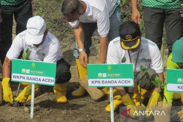 Hakim PN Banda Aceh tanam 2.000 batang mangrove 