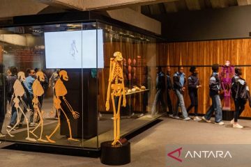 Situs Warisan Dunia Cradle of Humankind suguhkan berbagai koleksi fosil nenek moyang manusia