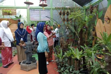 DLH Semarang kembangkan Taman Anggrek untuk sarana edukasi