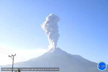 Gunung Lewotobi Laki-laki semburkan abu vulkanik setinggi 800 meter