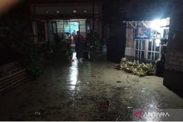 BNPB nyatakan dampak banjir dan longsor di Jambi sudah terkendali