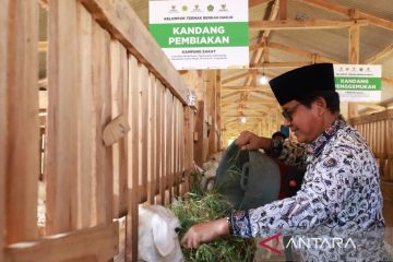 Baznas berdayakan mustahik di Kulon Progo melalui Program Balai Ternak