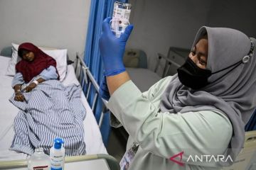 Kasus DBD di Jakarta Selatan pada Mei turun