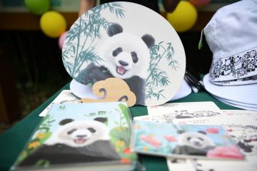 Ulang tahun panda raksasa Xiang Xiang dirayakan di Sichuan China