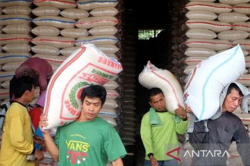 Legislator minta Food Station jual harga beras lebih rendah dari HET
