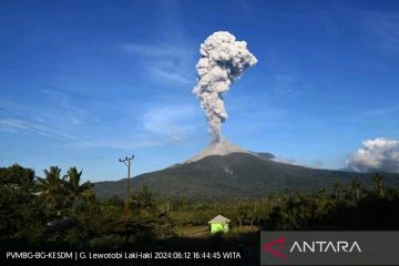 Badan Geologi: Empat desa waspada debu vulkanik erupsi Lewotobi