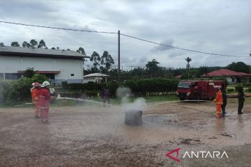 Pemkab Kapuas Hulu dan perusahaan sawit kolaborasi antisipasi karhutla