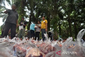 KLHK estimasi timbulan sampah plastik capai 608 ton saat Idul Adha