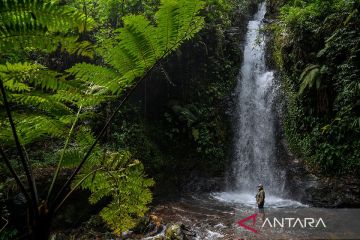 KLHK: Hari Air Terjun Internasional momentum jaga air terjun lestari