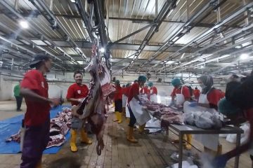 Dharma Jaya rekrut puluhan warga bantu sediakan daging hewan kurban