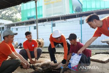 Masjid Al-Azhar Jakarta miliki tanki khusus untuk limbah kurban