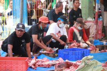 Penyembelihan hewan kurban di Pulau Panggang hanya di dua lokasi