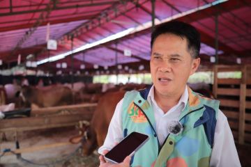 Pemkot Bandung catat jumlah hewan kurban capai 13.701 ekor