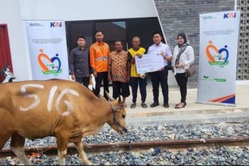 KAI Palembang distribusikan 23 ekor hewan kurban saat Idul Adha