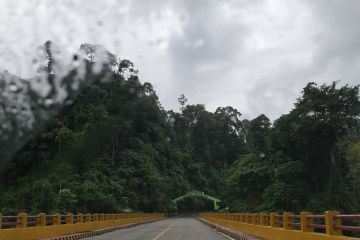 Dishut Lampung: 60 ribu hektare kawasan luar hutan direhabilitasi