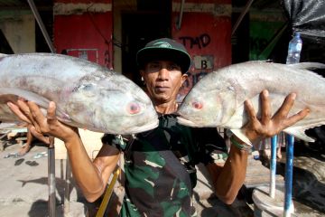 Menengok ramainya suasana pasar ikan di Pelabuhan Muncar, Jawa Timur