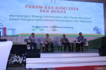 Pertagas dukung integrasi pipa gas dari Pulau Sumatera ke Pulau Jawa