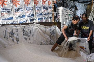 DKI kemarin, harga beras stabil hingga pemusnahan 164,5 kilo jeroan