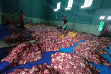 Daging kurban dari dusun di Banjarnegara itu dibagikan ke 7 kabupaten