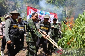 BNN RI musnahkan 2,5 hektare lahan ganja di Aceh Besar