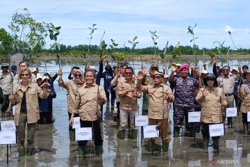 BRGM luncurkan program mangrove untuk ketahanan pesisir di Kaltara
