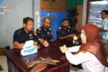 Bea Cukai Ambon-BKHIT Maluku bantu UMKM lakukan ekspor ikan kayu