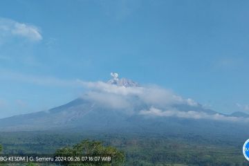 Gunung Semeru kembali erupsi dengan tinggi letusan 600 meter