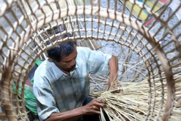 Rotan asal Indonesia dapat tingkatkan kerja sama ekonomi  global