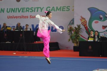 Menpora harap wushu selalu sumbangkan medali emas kepada Indonesia