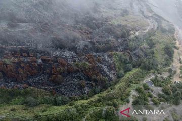 Lahan seluas 50 hektare terdampak kebakaran Gunung Batok