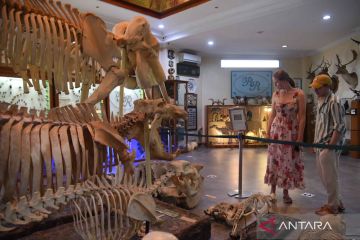 Objek wisata Rahmat International Wildlife Museum dan Galeri di Medan