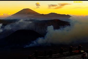TNBTS sebut cuaca panas picu kebakaran di area Gunung Bromo