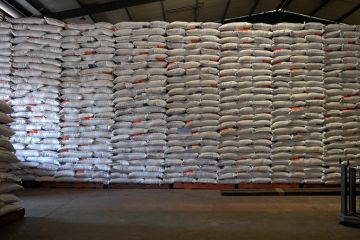 Bulog Makassar sediakan 10ribu ton stok beras jelang Idul Adha