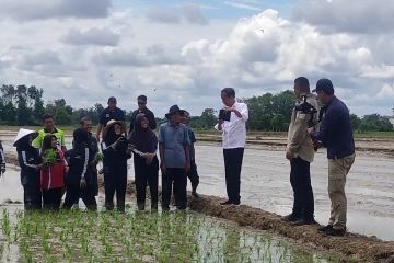 Jokowi nilai program pompanisasi di Kotim bantu optimalkan irigasi