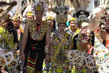 Melihat prosesi pernikahan adat Pekiban suku Dayak Kenyah