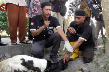 Puluhan takmir masjid di Kota Semarang ikuti latihan sembelih halal