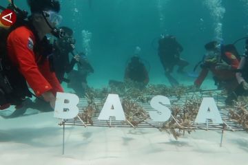 Basarnas Natuna transplantasi terumbu karang di Pulau Senua Kepri