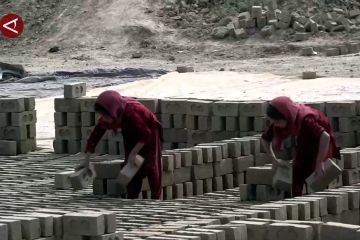 Upaya Afghanistan kurangi 19 persen anak jadi pekerja
