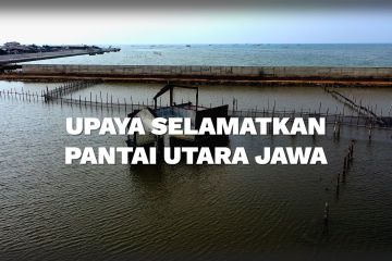 Upaya selamatkan Pantai Utara Jawa (2)