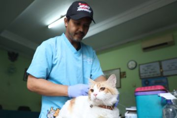 Pemkot Jakpus vaksinasi 64 hewan penyebar rabies di Johar Baru