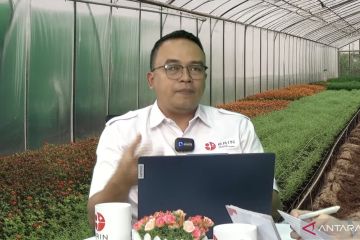 BRIN kembangkan "nanobubble" dukung tingkatan produktivitas pertanian