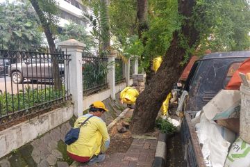 Penataan kawasan unggulan di Petojo Selatan rampung pekan ini