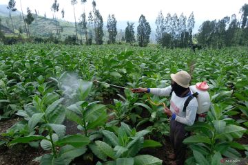 Pengusaha ritel keberatan soal aturan zonasi penjualan produk tembakau